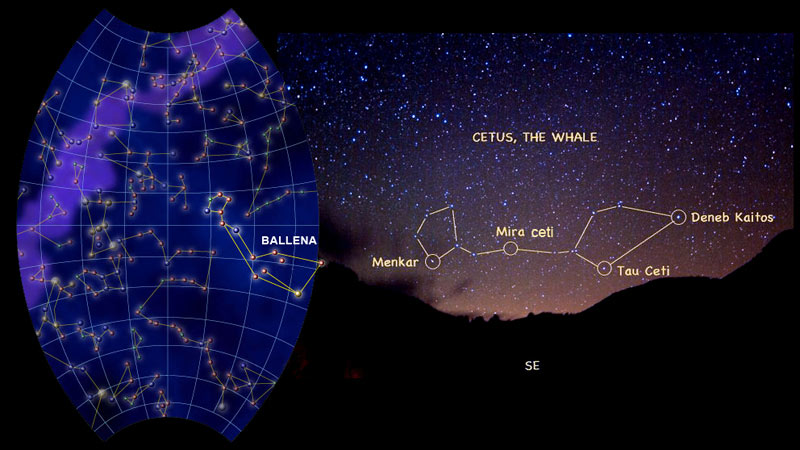 Constelación Cetus.